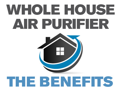 Whole house purifiers